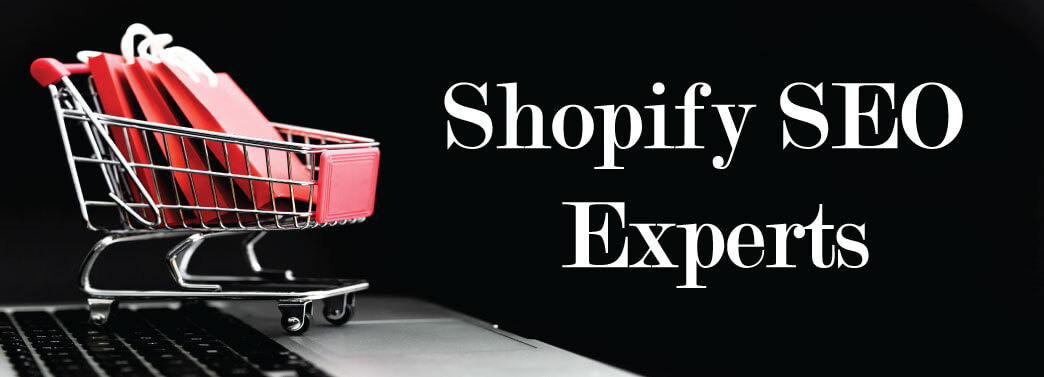 SEOEXPERT SEOEXPERT